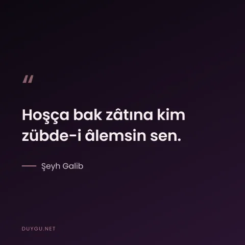 Hoşça bak zâtına kim zübde-i âlemsin sen. — Şeyh Galib
