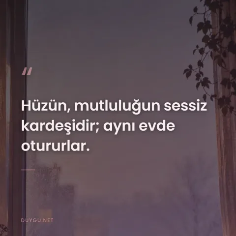 Hüzün, mutluluğun sessiz kardeşidir; aynı evde otururlar.