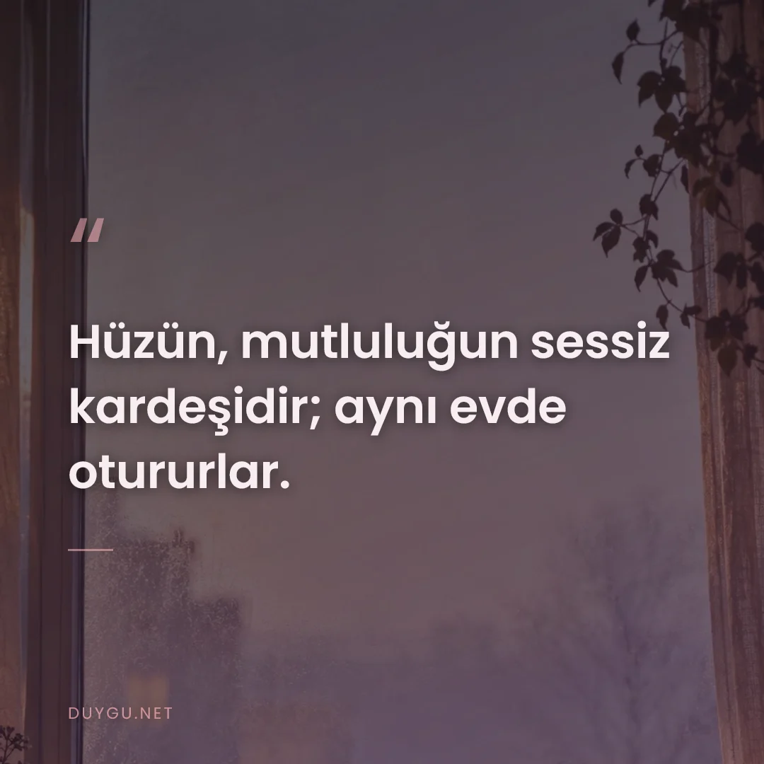 Resimli söz: Hüzün, mutluluğun sessiz kardeşidir; aynı evde otururlar.