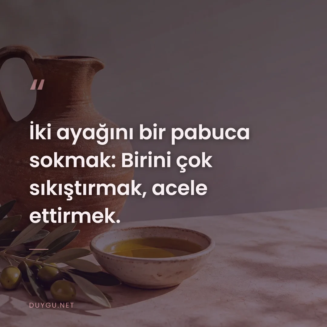 Resimli söz: İki ayağını bir pabuca sokmak: Birini çok sıkıştırmak, acele ettirmek.
