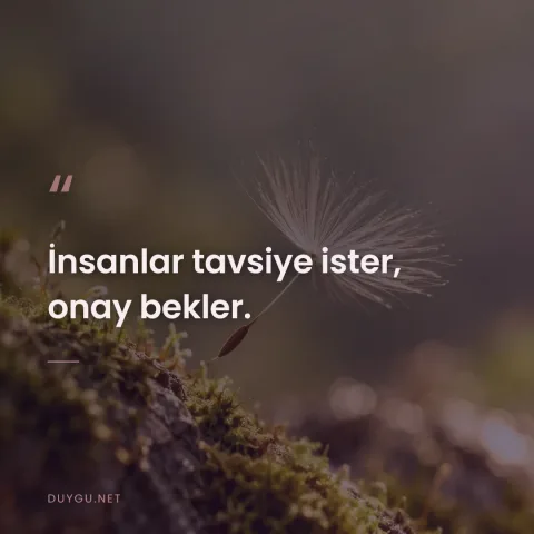 İnsanlar tavsiye ister, onay bekler.