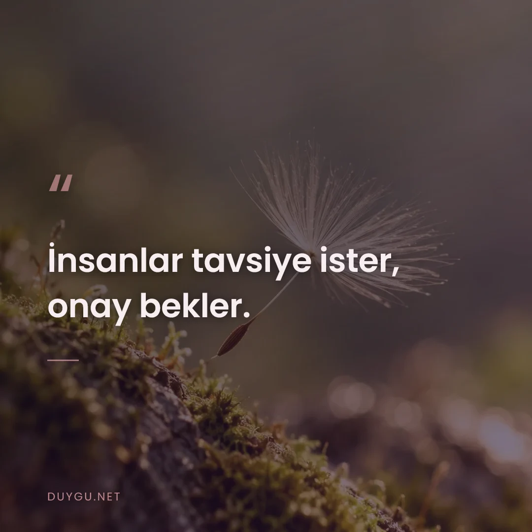 Resimli söz: İnsanlar tavsiye ister, onay bekler.