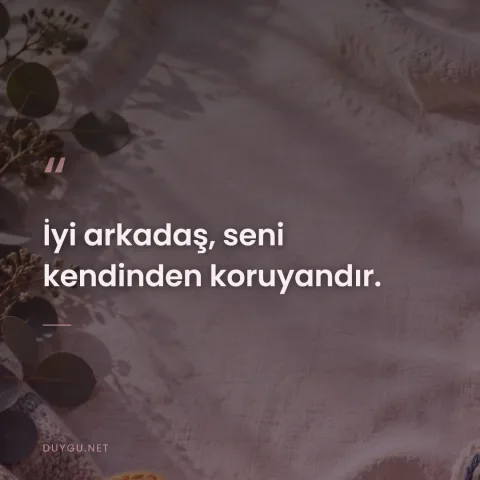 İyi arkadaş, seni kendinden koruyandır.