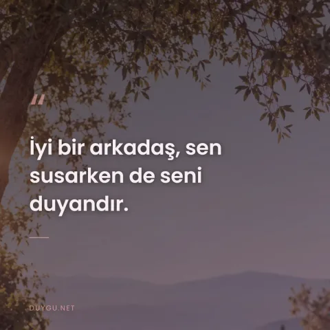 İyi bir arkadaş, sen susarken de seni duyandır.
