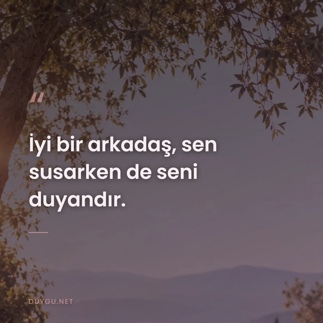 Resimli söz: İyi bir arkadaş, sen susarken de seni duyandır.