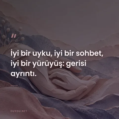 İyi bir uyku, iyi bir sohbet, iyi bir yürüyüş: gerisi ayrıntı.