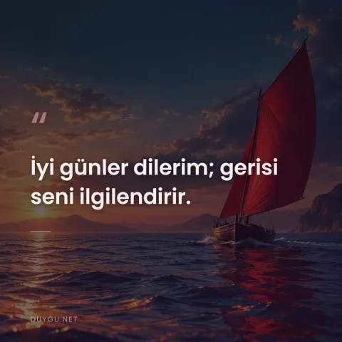 İyi günler dilerim; gerisi seni ilgilendirir.