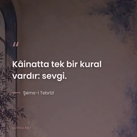 Kâinatta tek bir kural vardır: sevgi. — Şems-i Tebrîzî