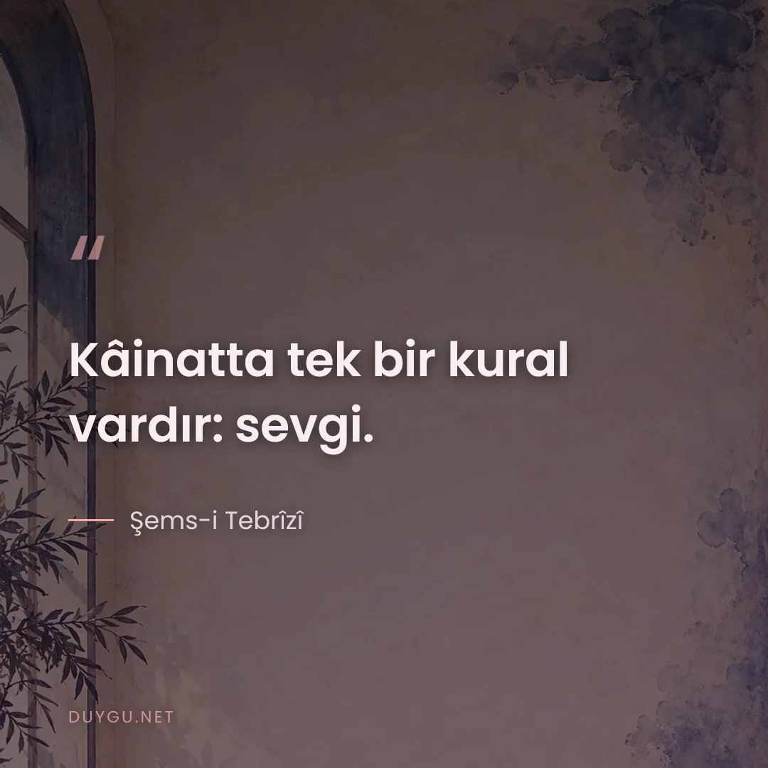 Resimli söz: Kâinatta tek bir kural vardır: sevgi.