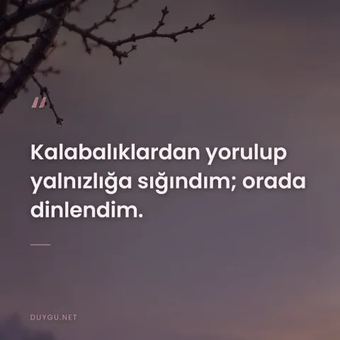 Kalabalıklardan yorulup yalnızlığa sığındım; orada dinlendim.