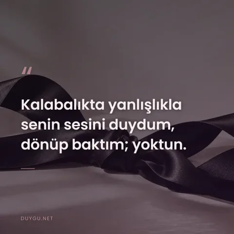 Kalabalıkta yanlışlıkla senin sesini duydum, dönüp baktım; yoktun.