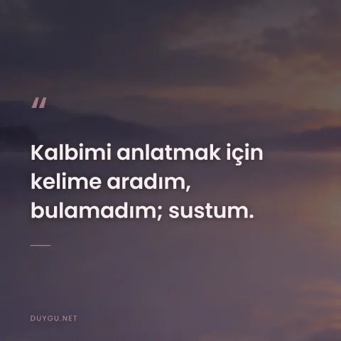 Kalbimi anlatmak için kelime aradım, bulamadım; sustum.