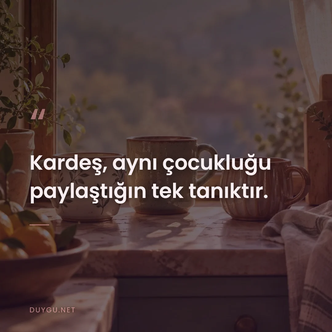 Resimli söz: Kardeş, aynı çocukluğu paylaştığın tek tanıktır.