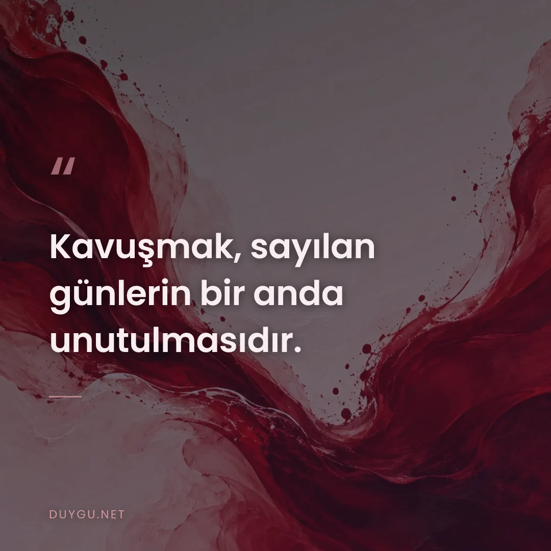 Resimli söz: Kavuşmak, sayılan günlerin bir anda unutulmasıdır.