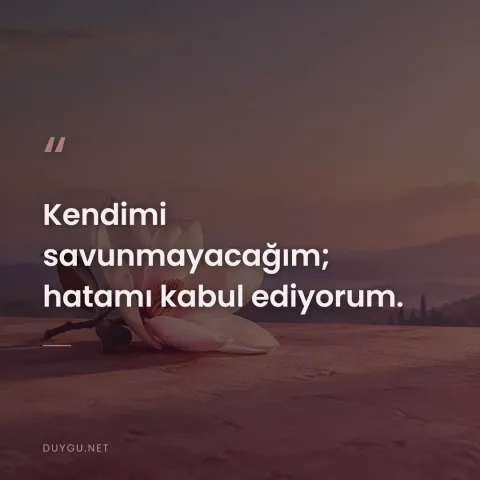 Kendimi savunmayacağım; hatamı kabul ediyorum.