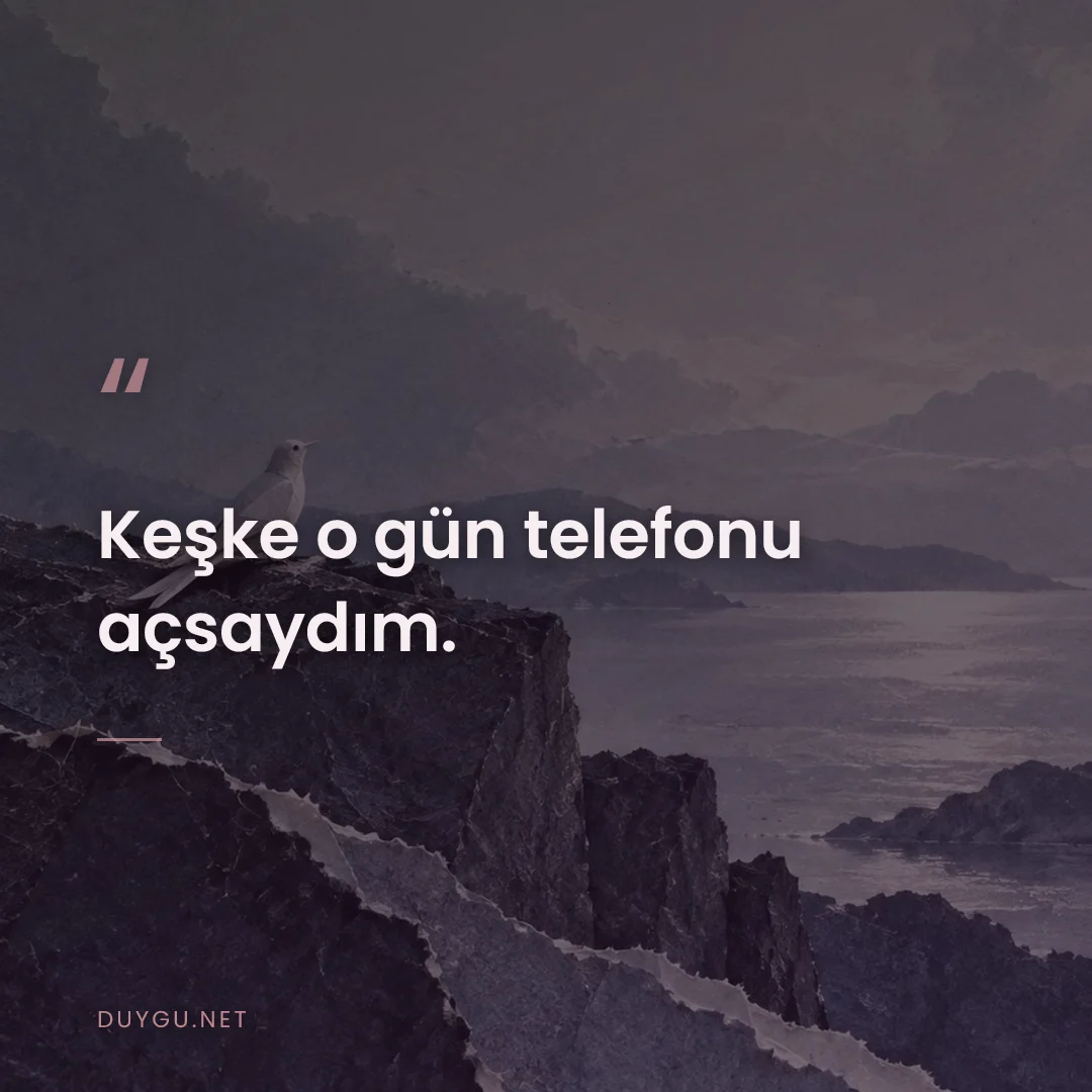 Resimli söz: Keşke o gün telefonu açsaydım.