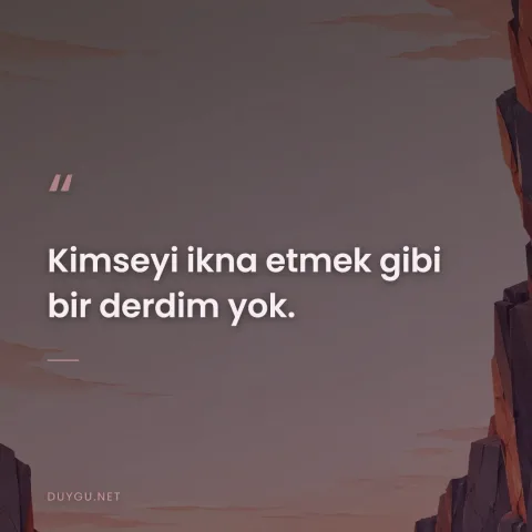 Kimseyi ikna etmek gibi bir derdim yok.