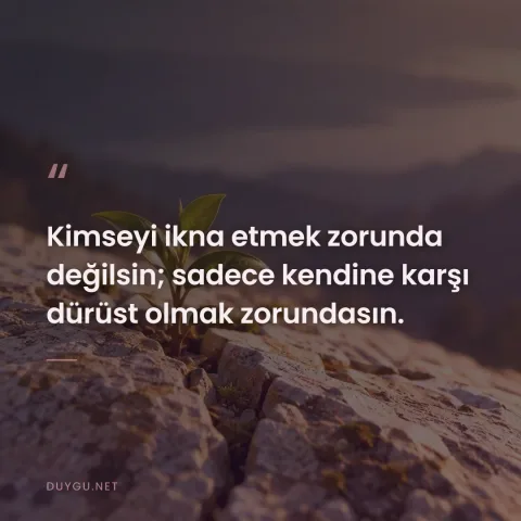 Kimseyi ikna etmek zorunda değilsin; sadece kendine karşı dürüst olmak zorundasın.