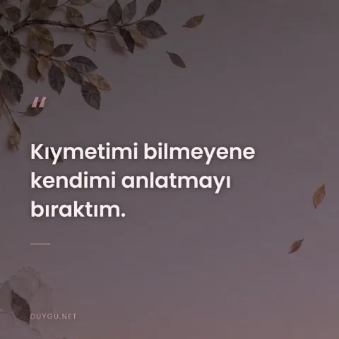 Kıymetimi bilmeyene kendimi anlatmayı bıraktım.