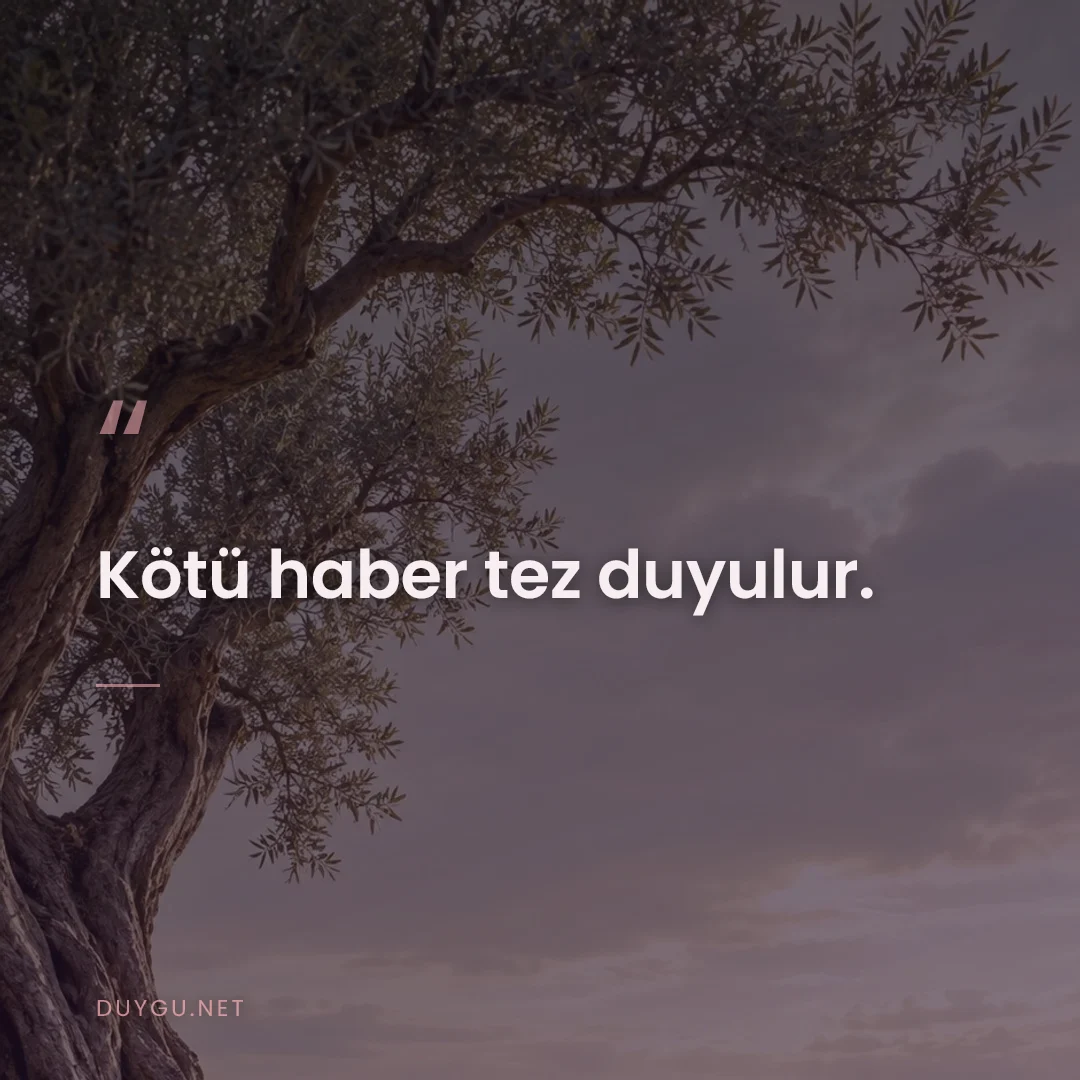 Resimli söz: Kötü haber tez duyulur.