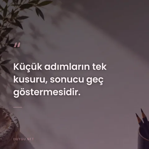 Küçük adımların tek kusuru, sonucu geç göstermesidir.