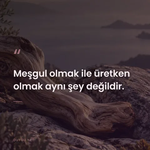 Meşgul olmak ile üretken olmak aynı şey değildir.