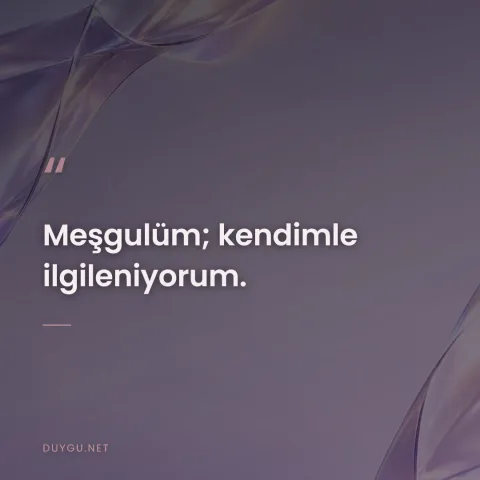 Meşgulüm; kendimle ilgileniyorum.