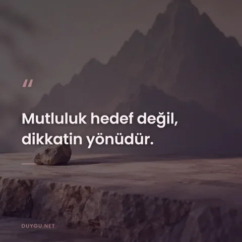 Mutluluk hedef değil, dikkatin yönüdür.
