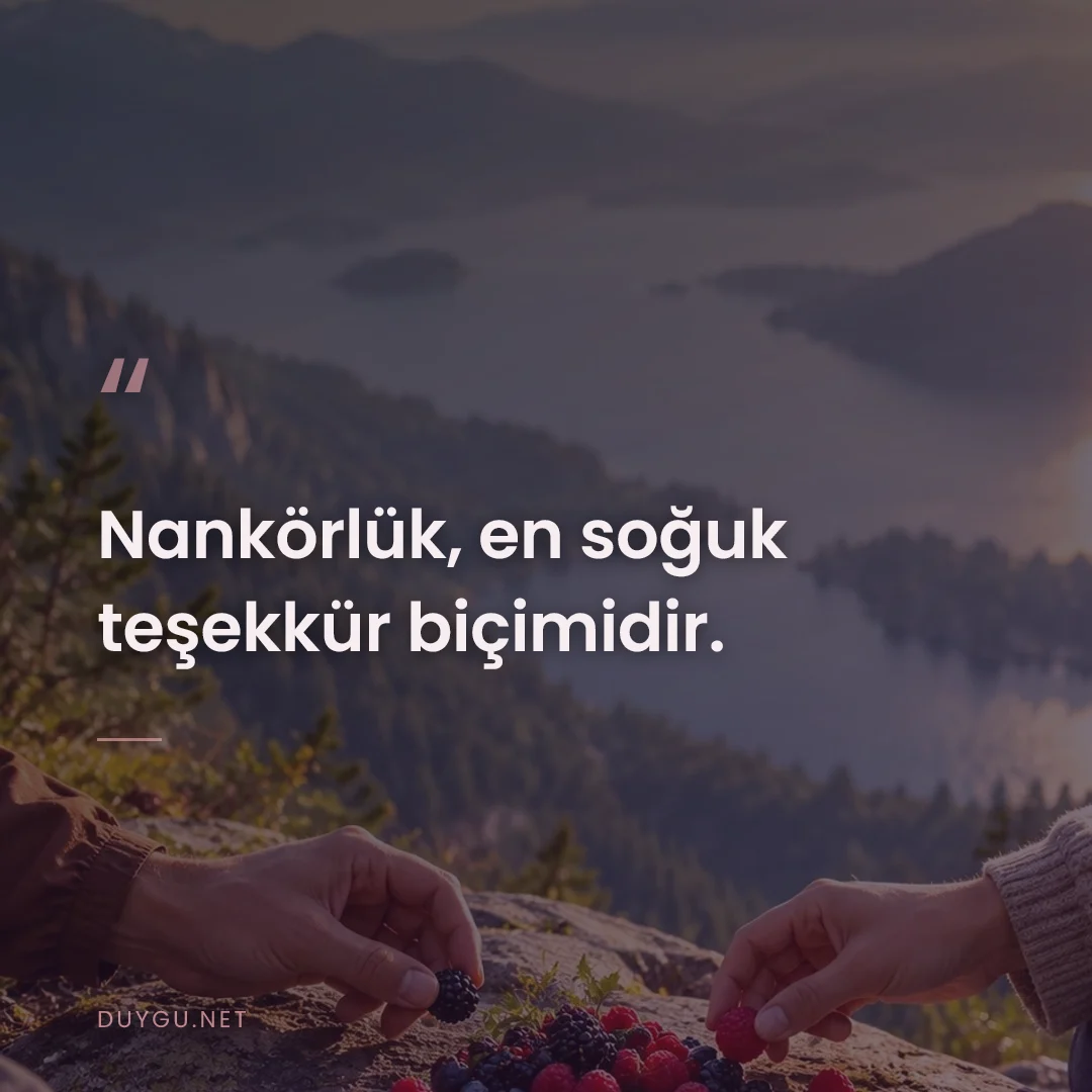 Resimli söz: Nankörlük, en soğuk teşekkür biçimidir.
