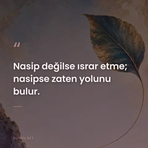 Nasip değilse ısrar etme; nasipse zaten yolunu bulur.