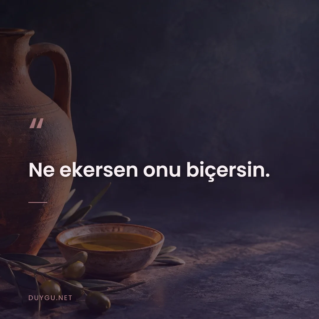 Resimli söz: Ne ekersen onu biçersin.