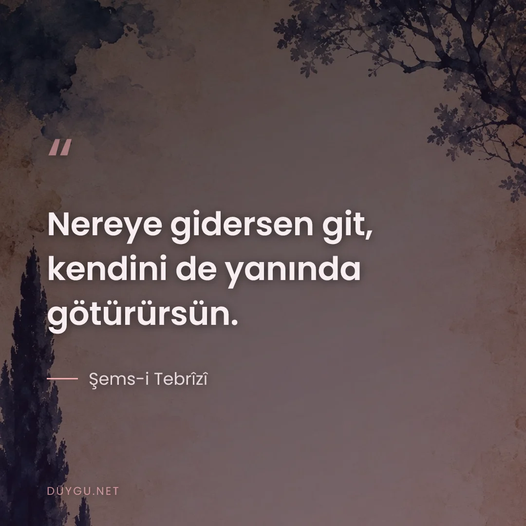 Resimli söz: Nereye gidersen git, kendini de yanında götürürsün.