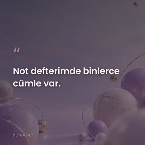 Not defterimde binlerce cümle var.