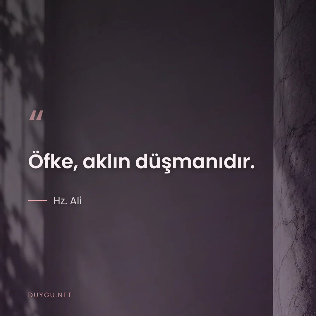 Resimli söz: Öfke, aklın düşmanıdır.