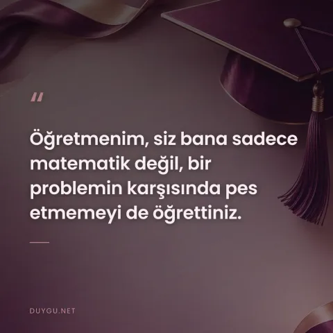 Öğretmenim, siz bana sadece matematik değil, bir problemin karşısında pes etmemeyi de öğrettiniz.