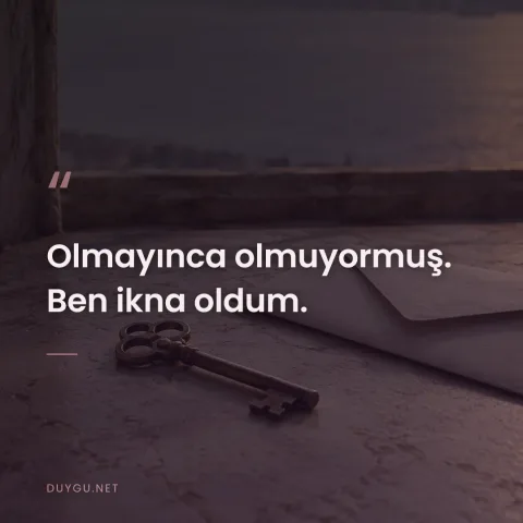 Olmayınca olmuyormuş. Ben ikna oldum.