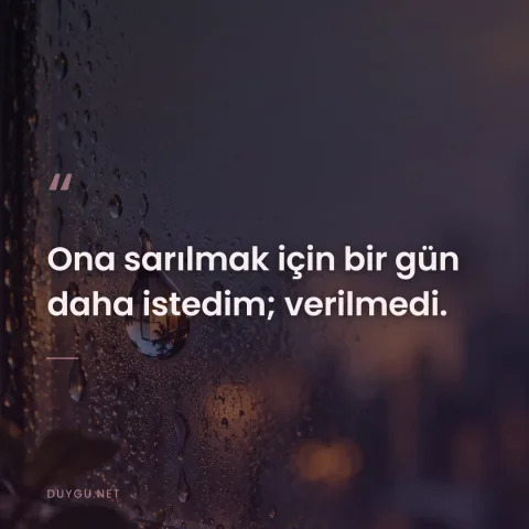 Ona sarılmak için bir gün daha istedim; verilmedi.