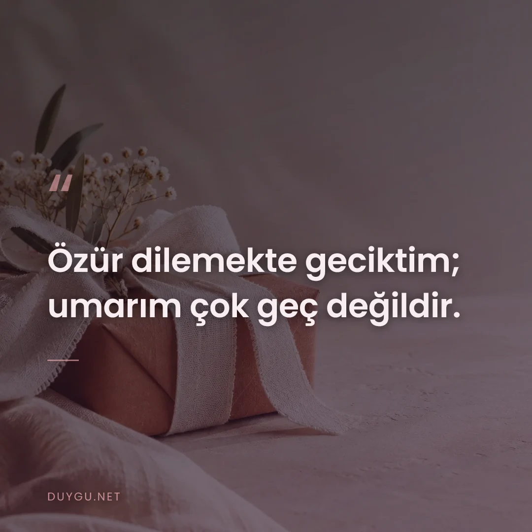 Resimli söz: Özür dilemekte geciktim; umarım çok geç değildir.