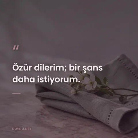 Özür dilerim; bir şans daha istiyorum.