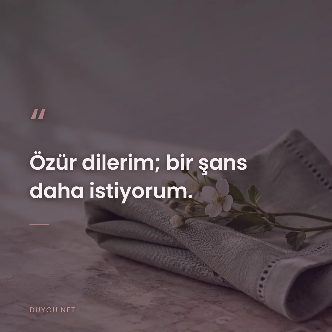Resimli söz: Özür dilerim; bir şans daha istiyorum.