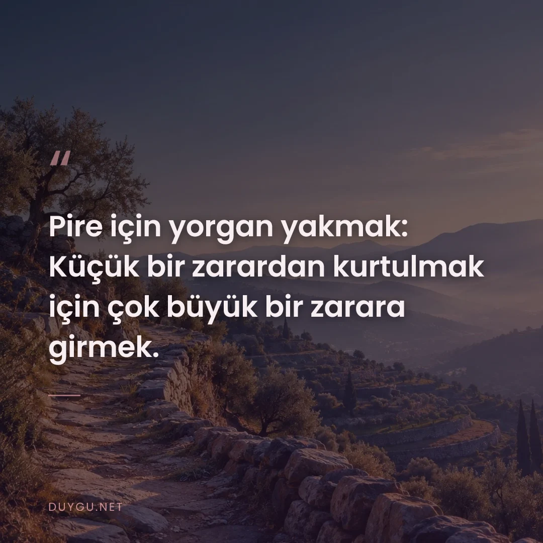 Resimli söz: Pire için yorgan yakmak: Küçük bir zarardan kurtulmak için çok büyük b