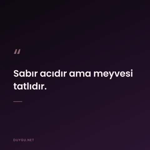 Sabır acıdır ama meyvesi tatlıdır.