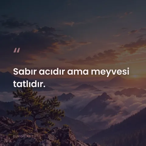 Sabır acıdır ama meyvesi tatlıdır.
