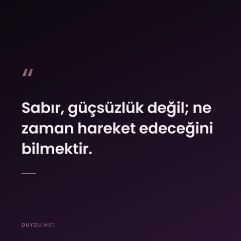 Sabır, güçsüzlük değil; ne zaman hareket edeceğini bilmektir.