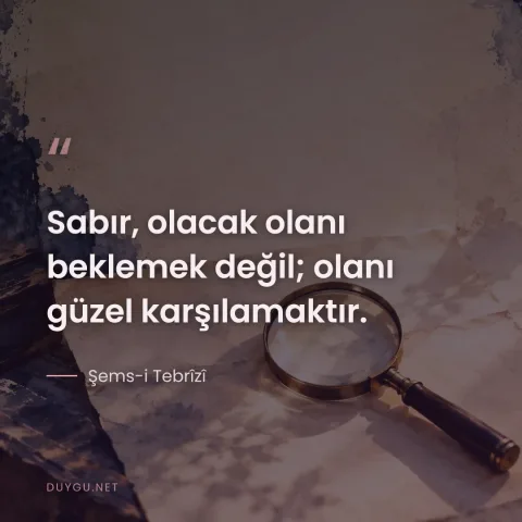 Sabır, olacak olanı beklemek değil; olanı güzel karşılamaktır. — Şems-i Tebrîzî