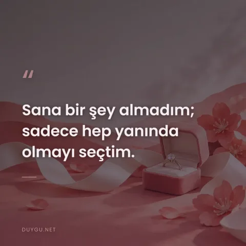 Sana bir şey almadım; sadece hep yanında olmayı seçtim.