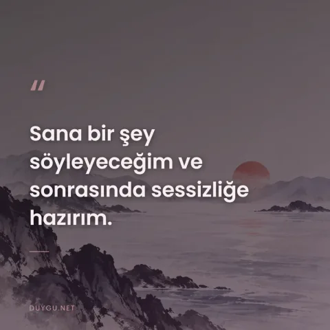 Sana bir şey söyleyeceğim ve sonrasında sessizliğe hazırım.