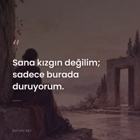 Sana kızgın değilim; sadece burada duruyorum.