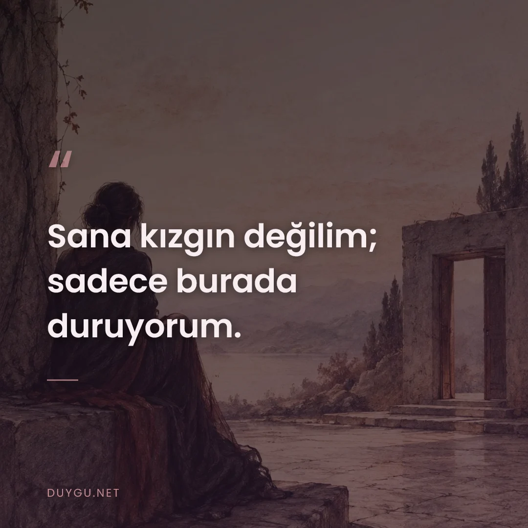 Resimli söz: Sana kızgın değilim; sadece burada duruyorum.