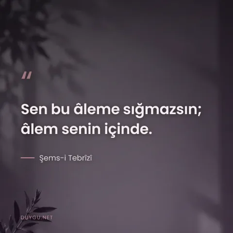 Sen bu âleme sığmazsın; âlem senin içinde. — Şems-i Tebrîzî